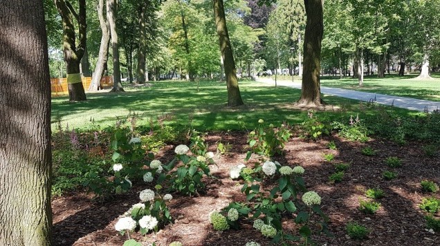 Park tysiąclecia w w Krośnie Odrzańskim 