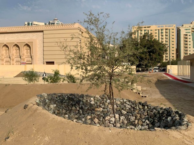 Ogród bez wody w Emiratach Arabskich
