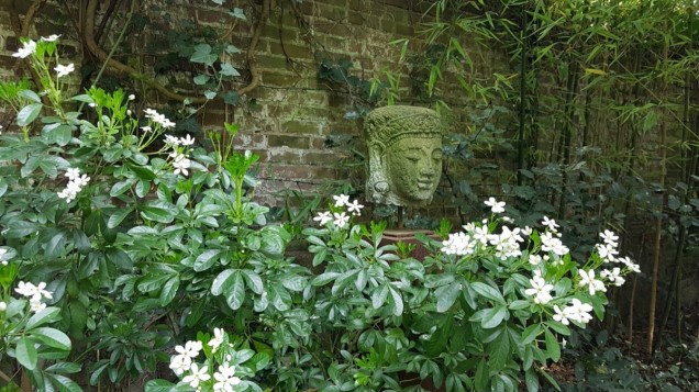 naturalistyczny ogród w Düsseldorfie