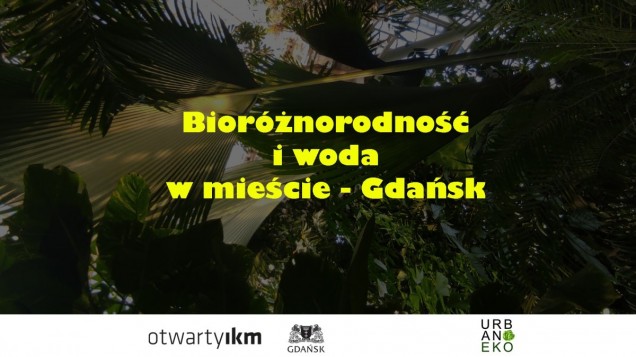 Warsztaty: Bioróżnorodność i woda w mieście