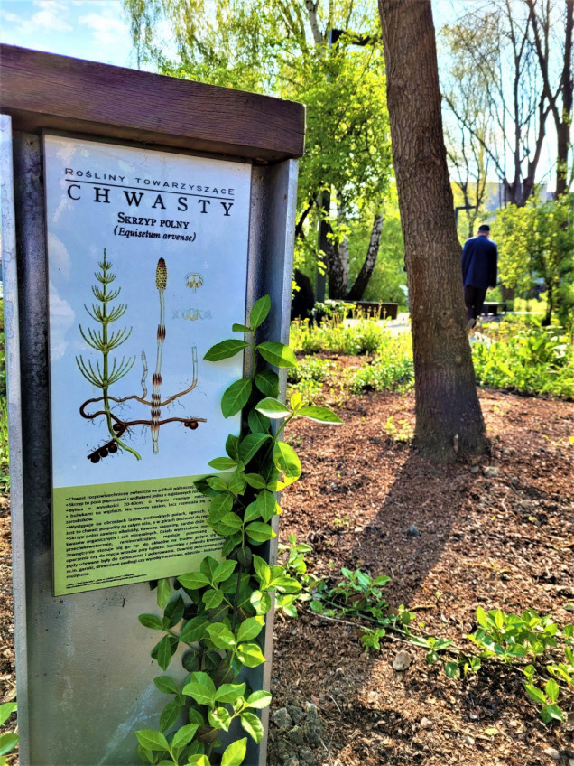 Chwastowy Ogród Krakowian