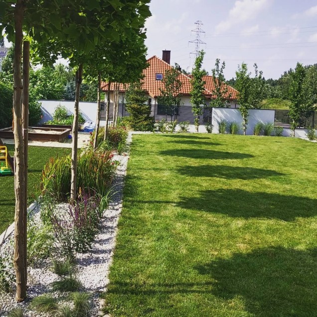 aranżacja bylinowo-trawiasta w energetycznych kolorach