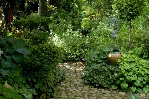 Naturalny otwarty ogród w duńskim Silkeborg