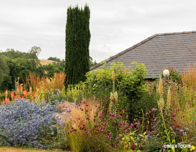 Naturalny i nowoczesny ogród w Pettifers w Oxfordshire