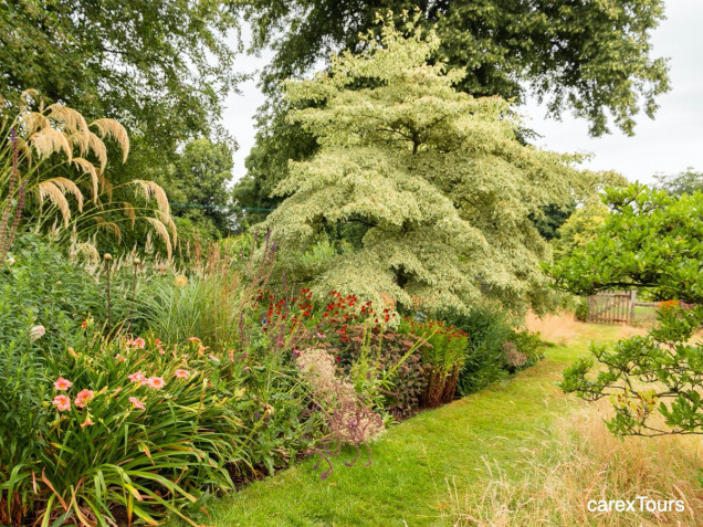 Naturalny i nowoczesny ogród w Pettifers w Oxfordshire