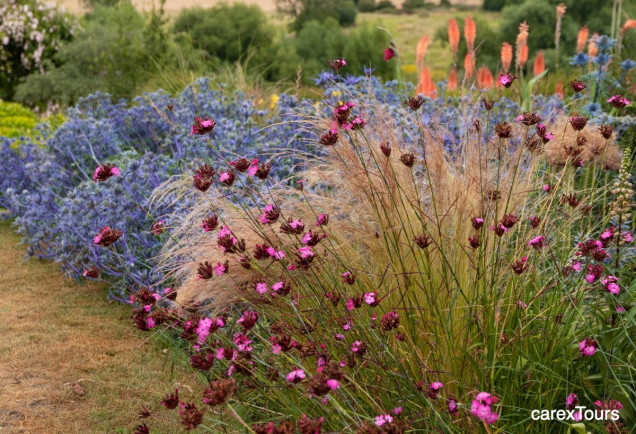 Naturalny i nowoczesny ogród w Pettifers w Oxfordshire