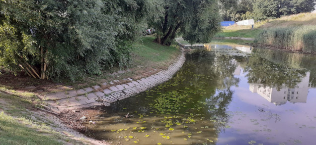 „Szuwar warszawski”