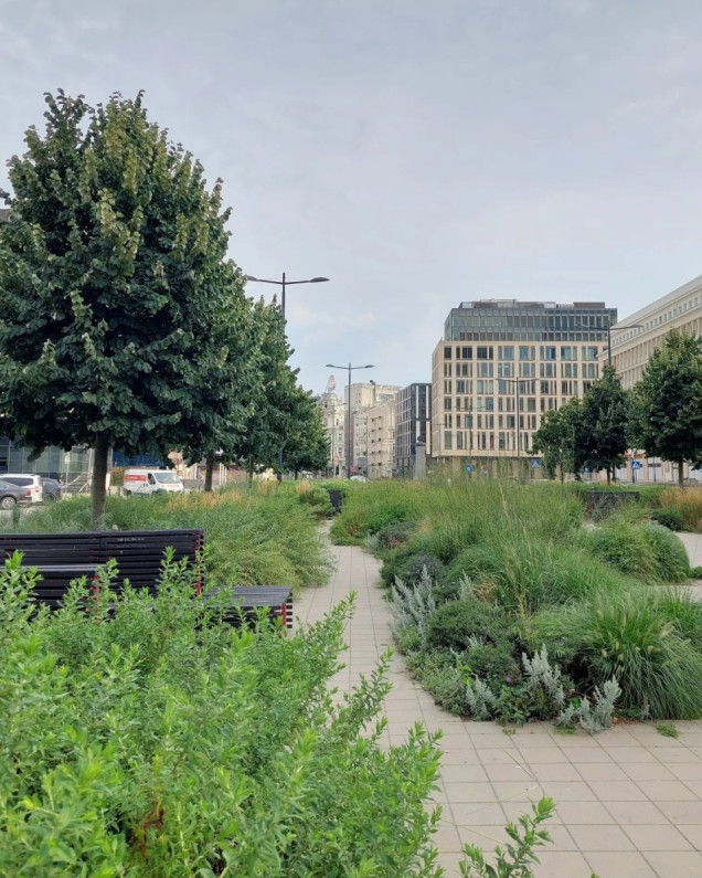 Zielony Plac Powstańców Warszawy