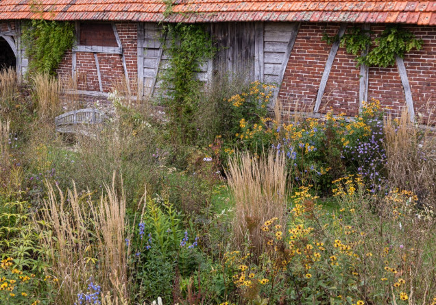 Le Jardin Plume – dziki, immersyjny ogród