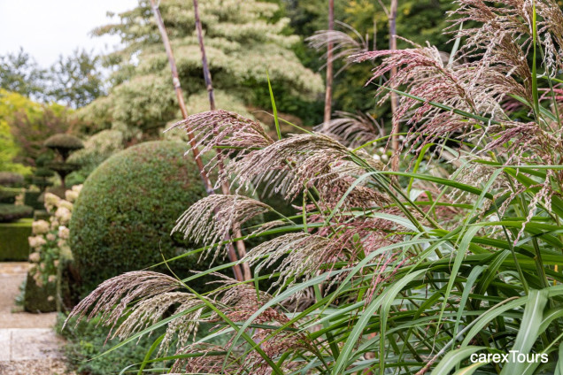 Les Jardins de Castillon – niezwykły ogród na północy Francji