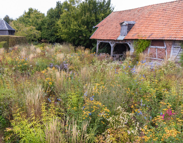 Le Jardin Plume – dziki, immersyjny ogród