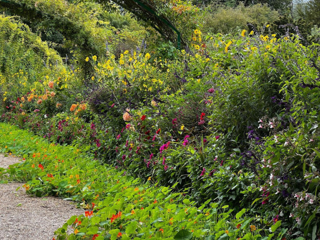 Ogrody Moneta we francuskim Giverny
