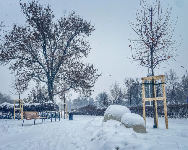Nowy park kieszonkowy na warszawskim Mokotowie