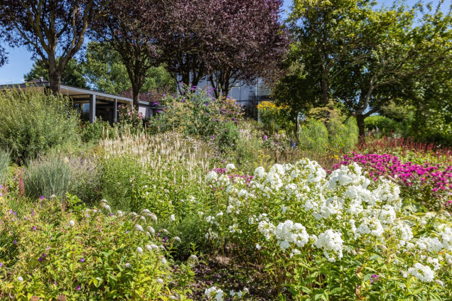 Naturalny ogród z trawami De Tuin van Fortmond