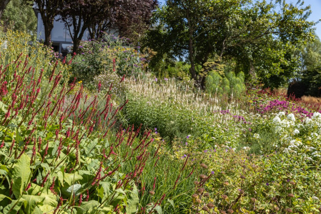 Naturalny ogród z trawami De Tuin van Fortmond