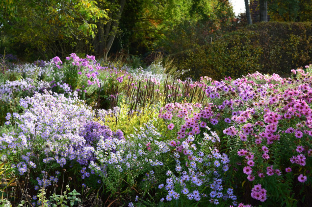 Pristin Garden w Barsinghausen