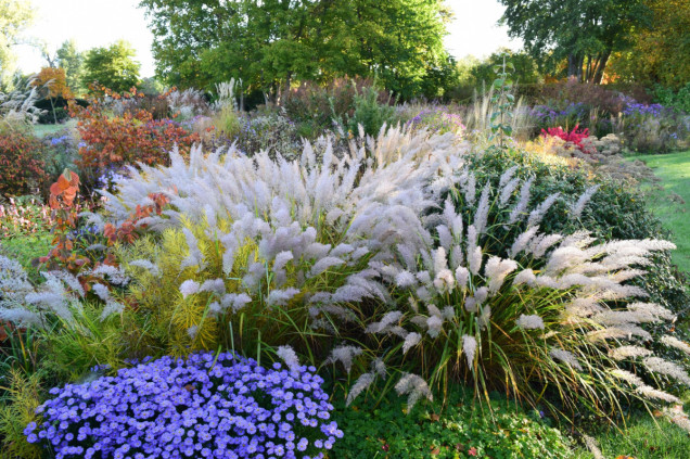 Pristin Garden w Barsinghausen