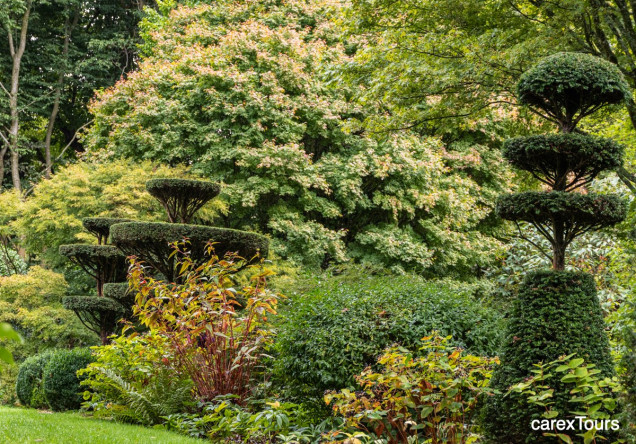 Jardin de Castillon w Normandii
