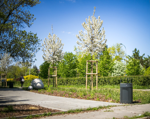 Nowy park kieszonkowy na Mokotowie