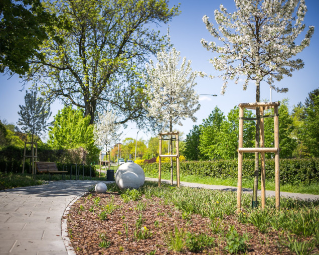 Nowy park kieszonkowy na Mokotowie