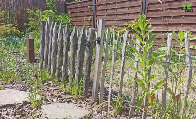 Chwasty w ogrodzie – ogród inny niż wszystkie