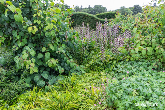 Scampston Hall Walled Garden projektu Pieta Oudolfa