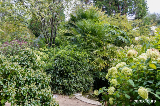 Jardin Agapanthe w Normandii