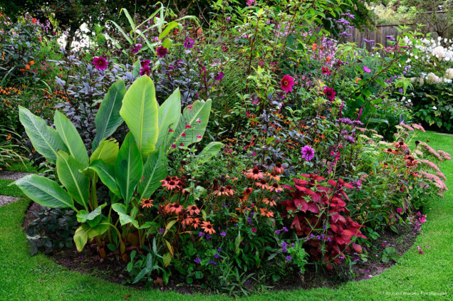 Patthana Garden w irlandzkim Kiltegan