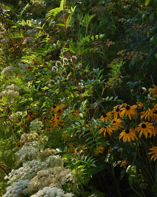 Ogród pokazowy Within Nature