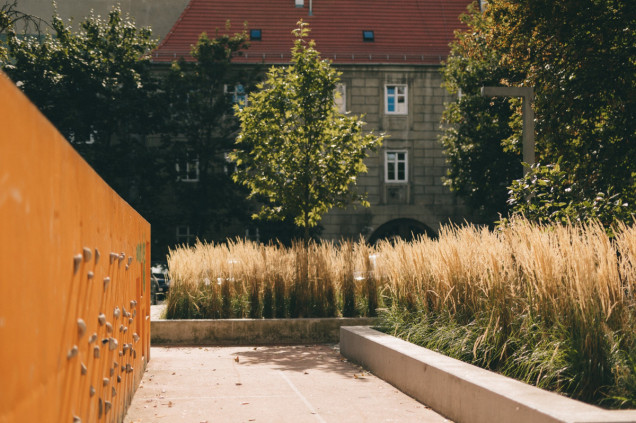 Zielone podwórko przy ul. Rajskiej we Wrocławiu