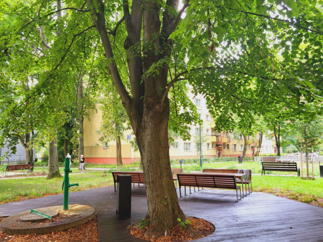 park