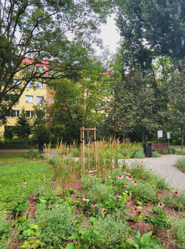 park