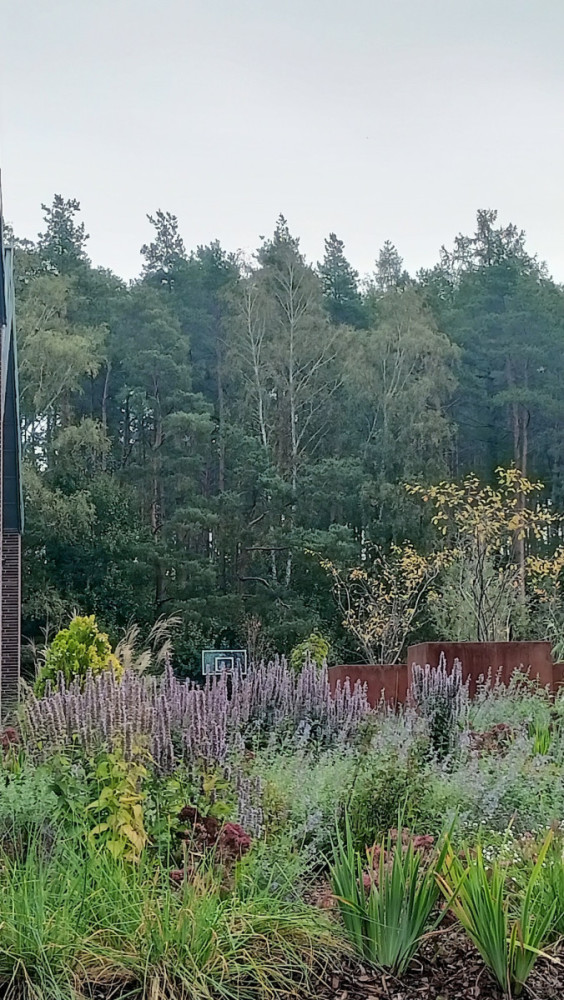ogród