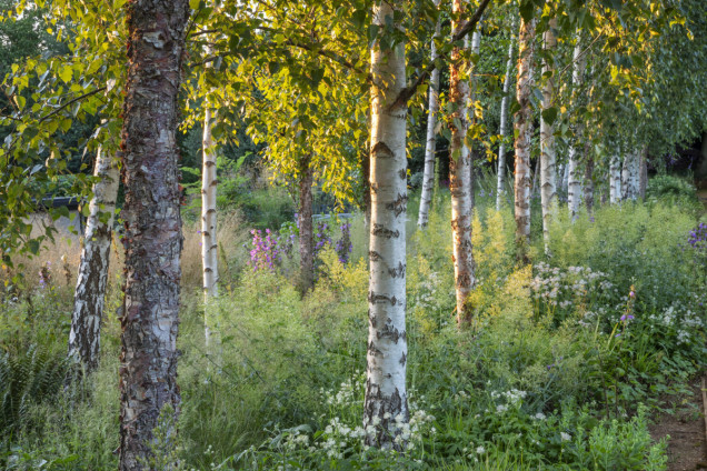 Chilterns Garden ze stawem rosowym