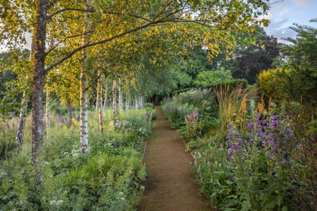 Chilterns Garden ze stawem rosowym