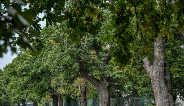 fot. www.wroclaw.pl