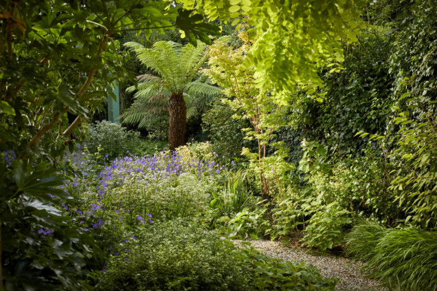 Ogród dżungla w Londynie