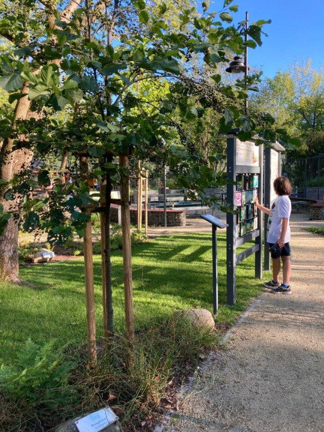 Ogród botaniczny w Brwinowie