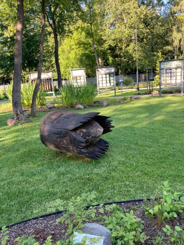 Ogród botaniczny w Brwinowie