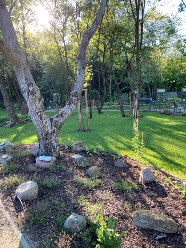 Ogród botaniczny w Brwinowie