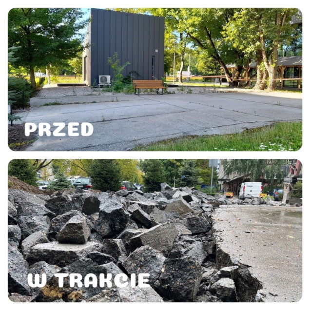 Zielone podwórka w warszawskim Śródmieściu