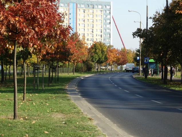 konferencja dla architektów, projektowanie zieleni, zieleń przyuliczna, rośliny przy ulicy