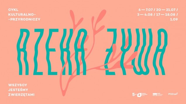 Łukasz Antonowicz, Amfiteatr Bramy Poznania, Brama Poznania, Żywa architektura, warsztaty w poznaniu