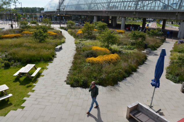 Amsterdamski Orlyplein – beton zamieniony w zieleń