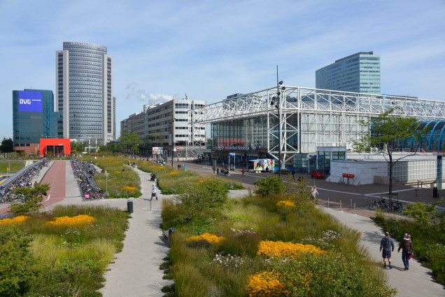 Amsterdamski Orlyplein – beton zamieniony w zieleń