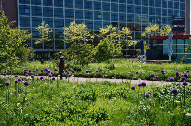 Amsterdamski Orlyplein – beton zamieniony w zieleń