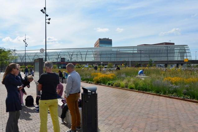 Amsterdamski Orlyplein – beton zamieniony w zieleń