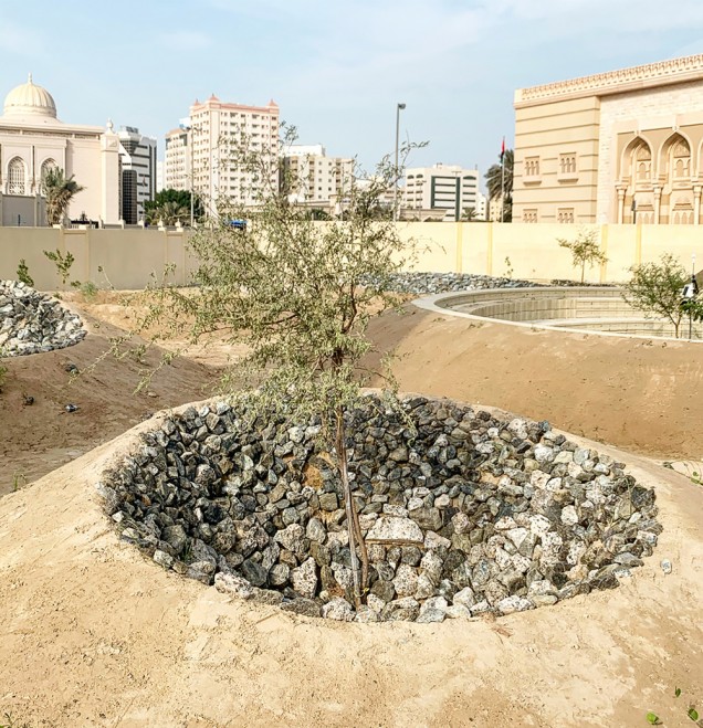 Ogród bez wody w Emiratach Arabskich