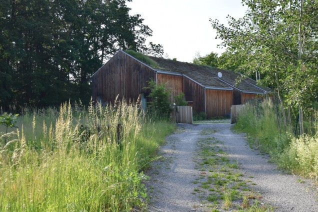 ogród naturalny czechy