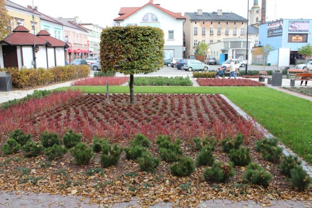 mały rynek w skoczowie 